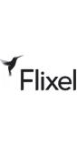 Flixel